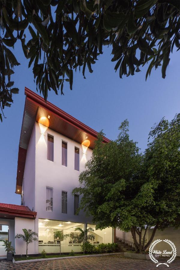 White Land City Hotel Dambulla Exteriér fotografie