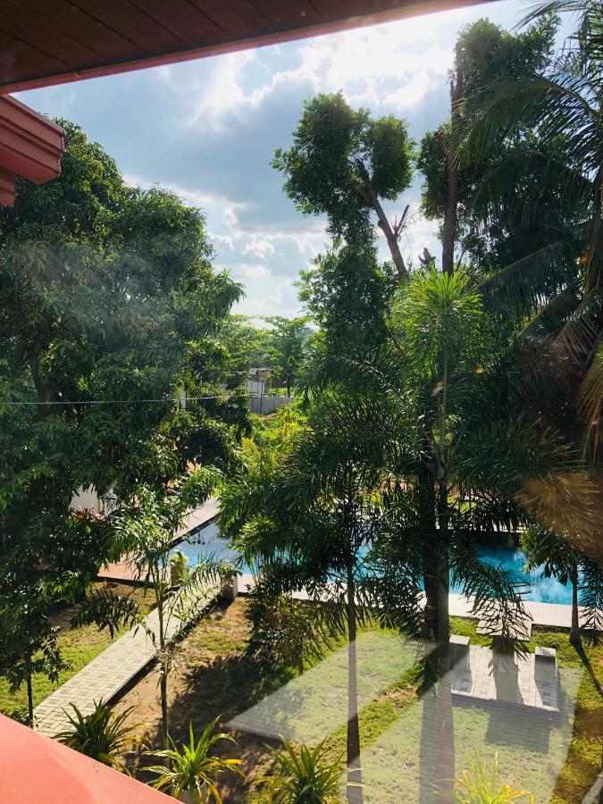 White Land City Hotel Dambulla Exteriér fotografie